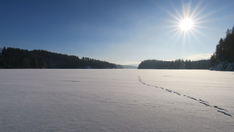 Nuuksion Pitkäjärvi